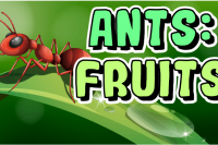 Ants: Fruits