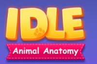 IDLE Animal Anatomy