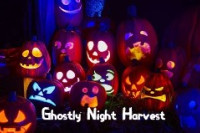 Ghostly Night Harvest